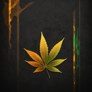 Abstract DEA regulatory framework and cannabis rescheduling policy visualization